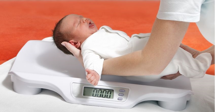 10799773 - Baby Boy On Weight Scale